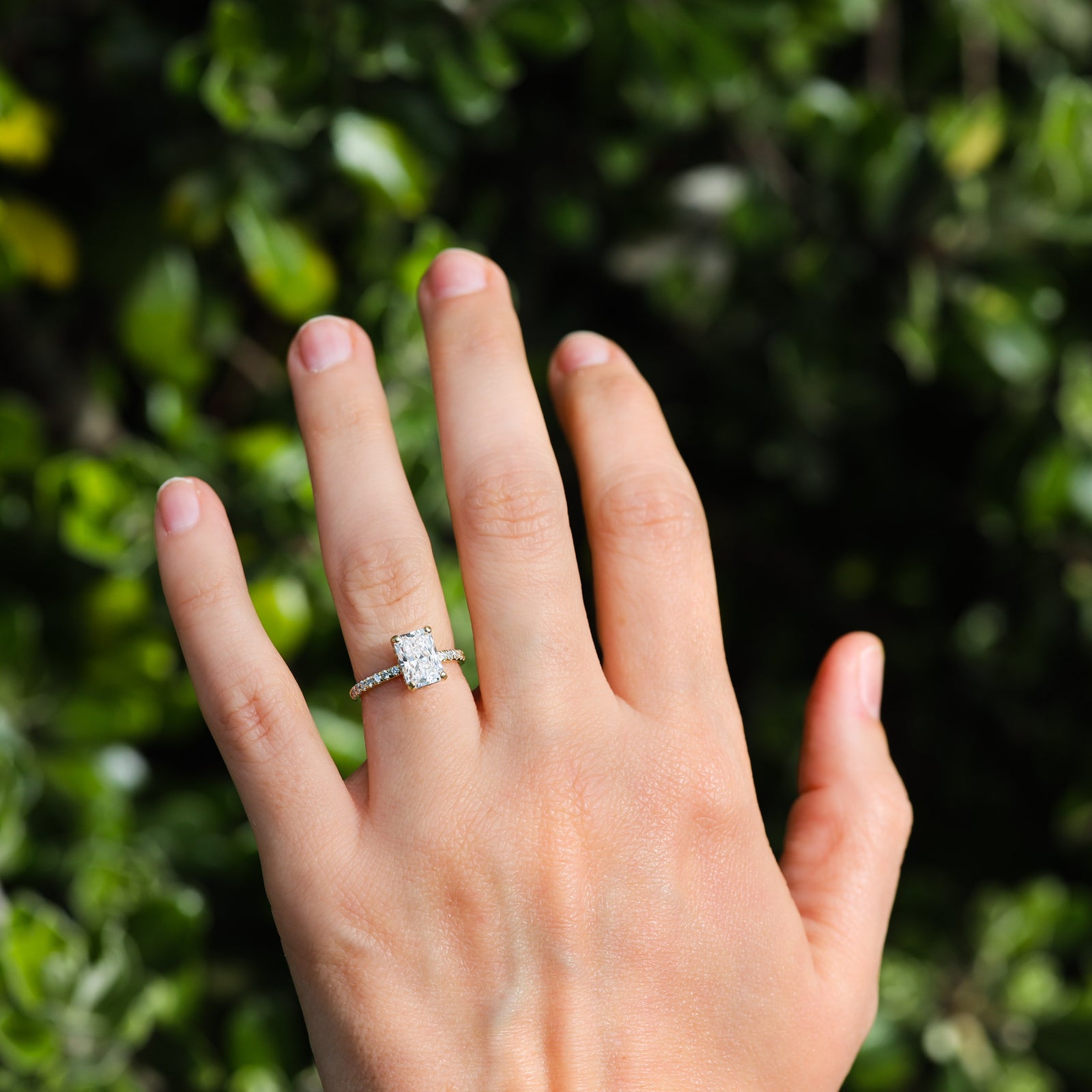 Radiant Cut Hidden Halo